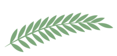 Book A Call 2 — Fabulous Healing Portland Holistic Nutritionist Liat Nadler fabulous healing transp e1644590556650